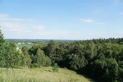 Rezerwat Ostnicowe Parowy w Grucznie